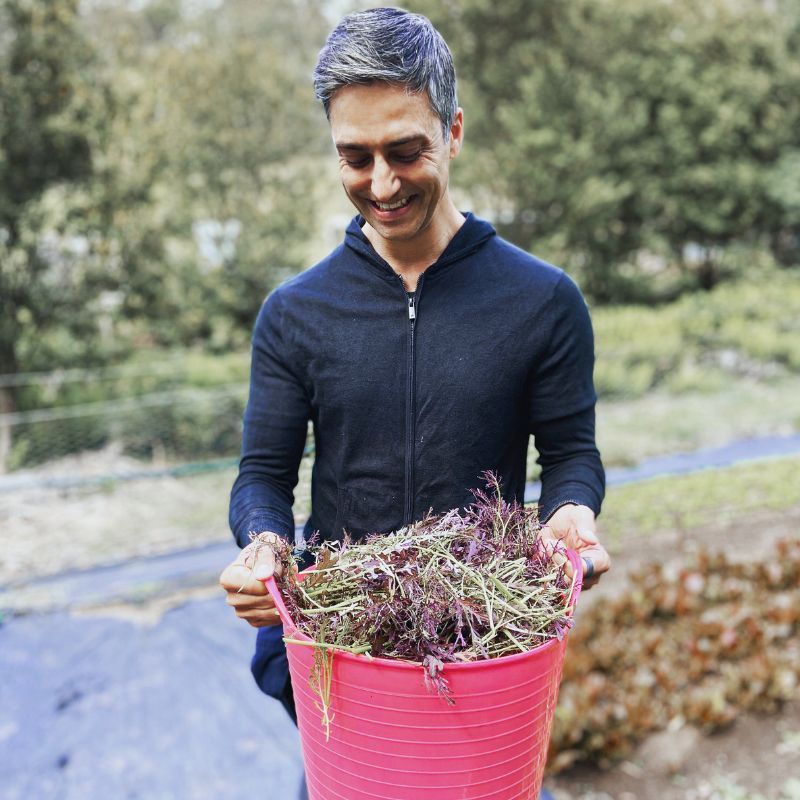 Pantry Files: Ora Founder, Gabriel Perera