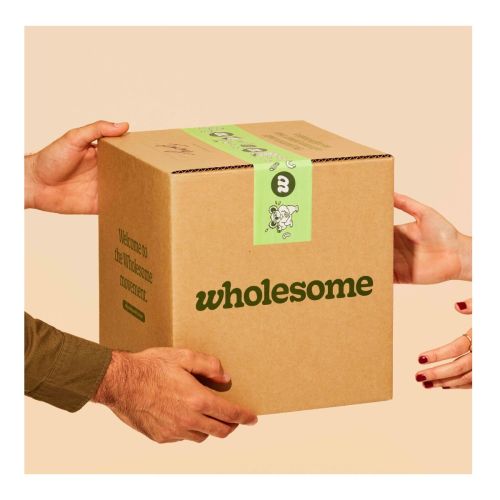 Condolence Box